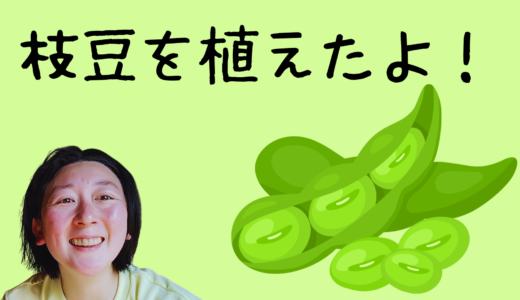 枝豆の記録！